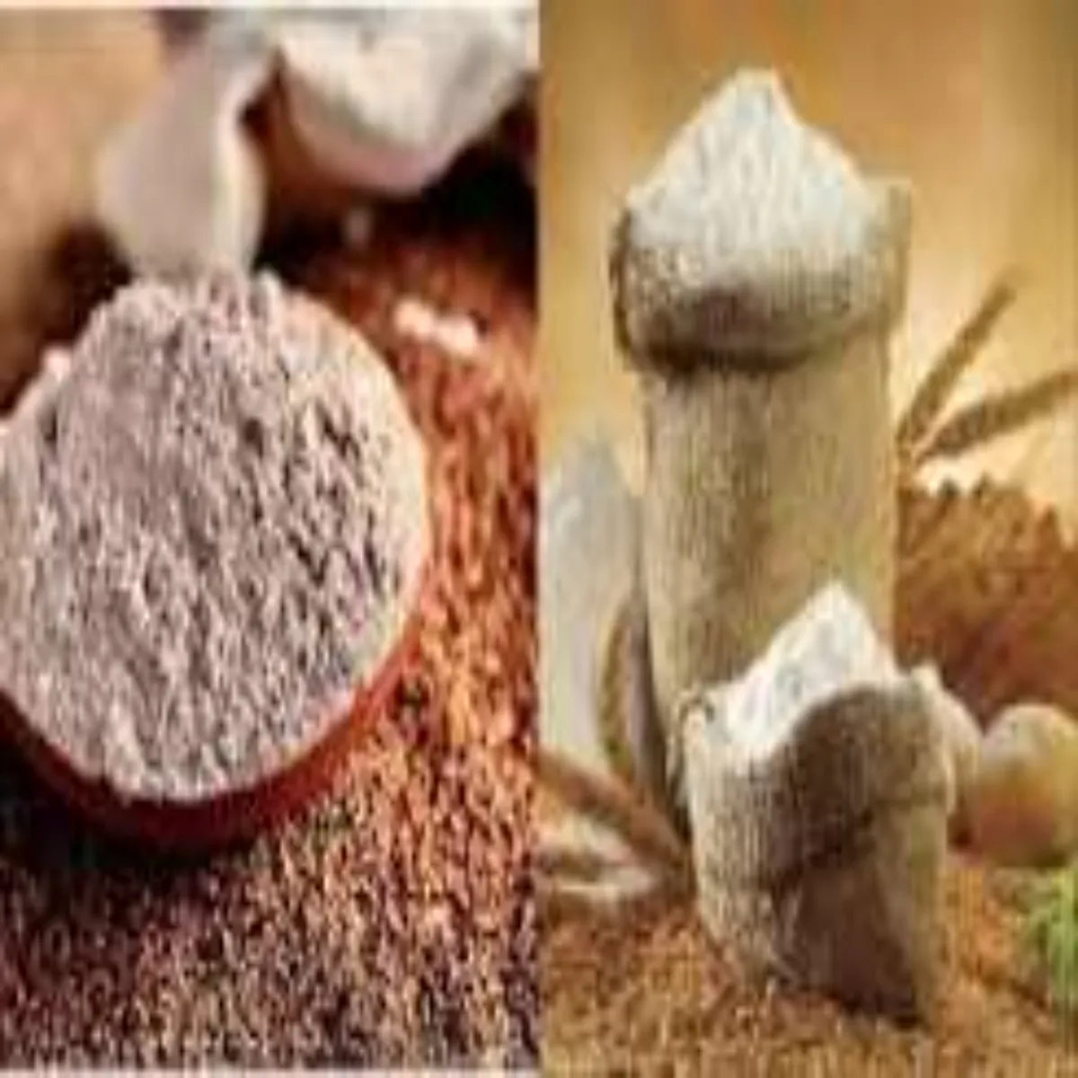 Flour Storage Flour Storage Aate Lnbe