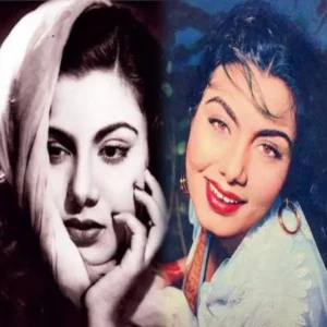 hollywood offers nimmi story
