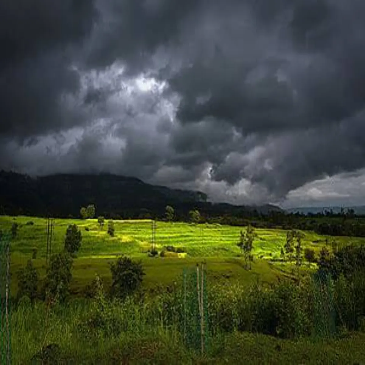 Weatherupdate Weatherupdate Deshbhr Men Skriy Huaa