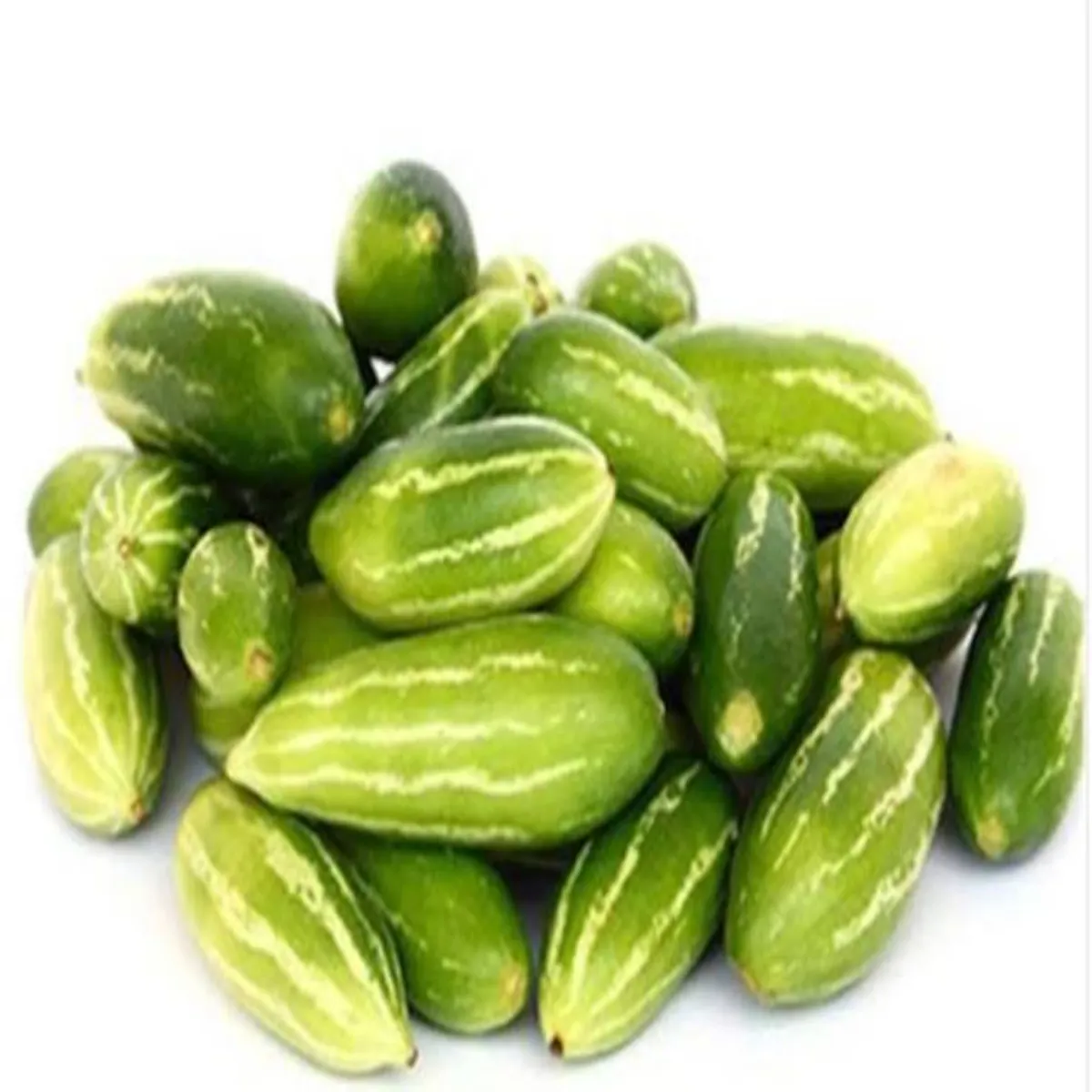 Ivygourd Ivygourd Kundru Lekr Phaili Bhrantiyon