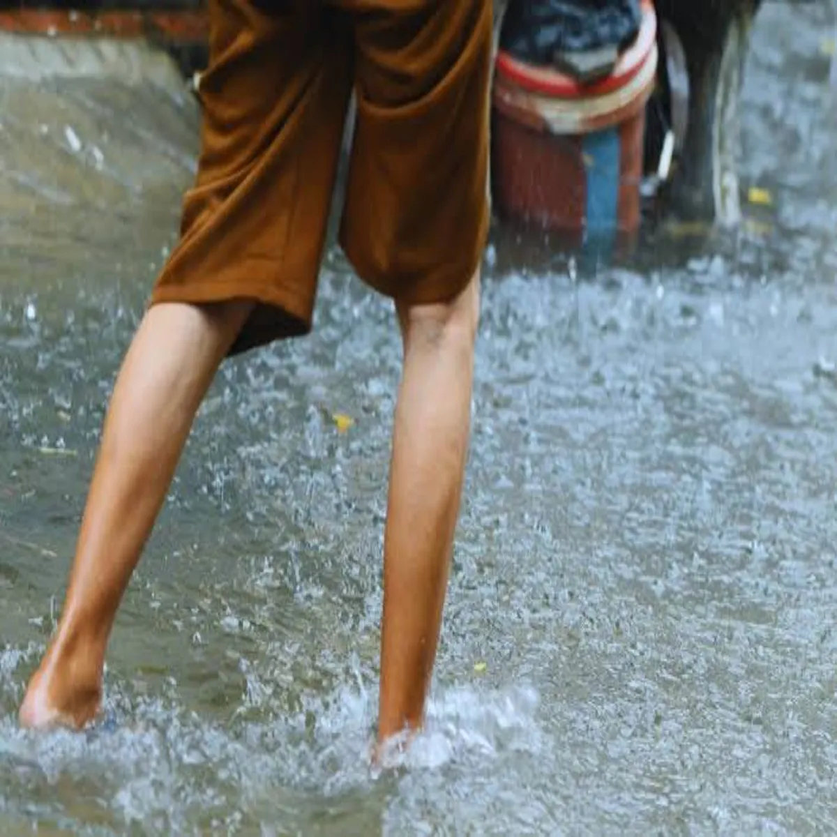 Leptospirosis Leptospirosis Barish Jlbhrav Men Chlna