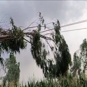 lucknow heavy rain power outage
