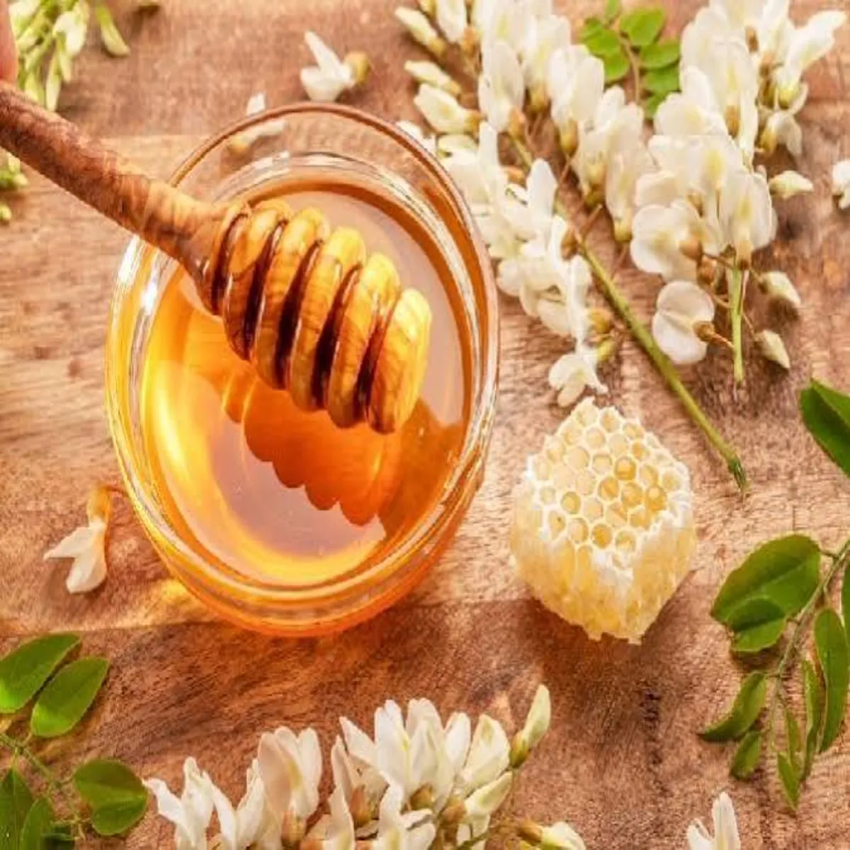 Ayurveda Ayurveda Janen Barish Mausm Men