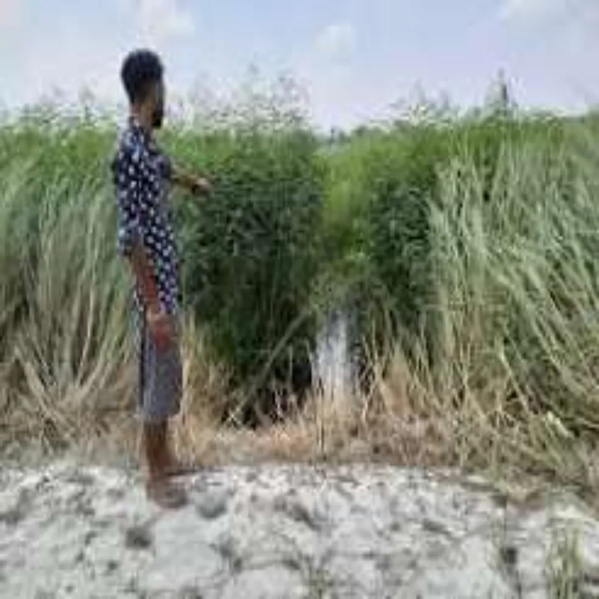 Murdernews Murdernews Mujphphrpur Men Huee Mhila