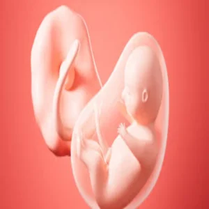 pakistan placenta trafficking case