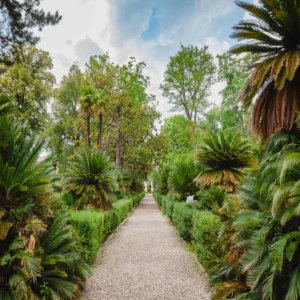 patna indoor botanical garden