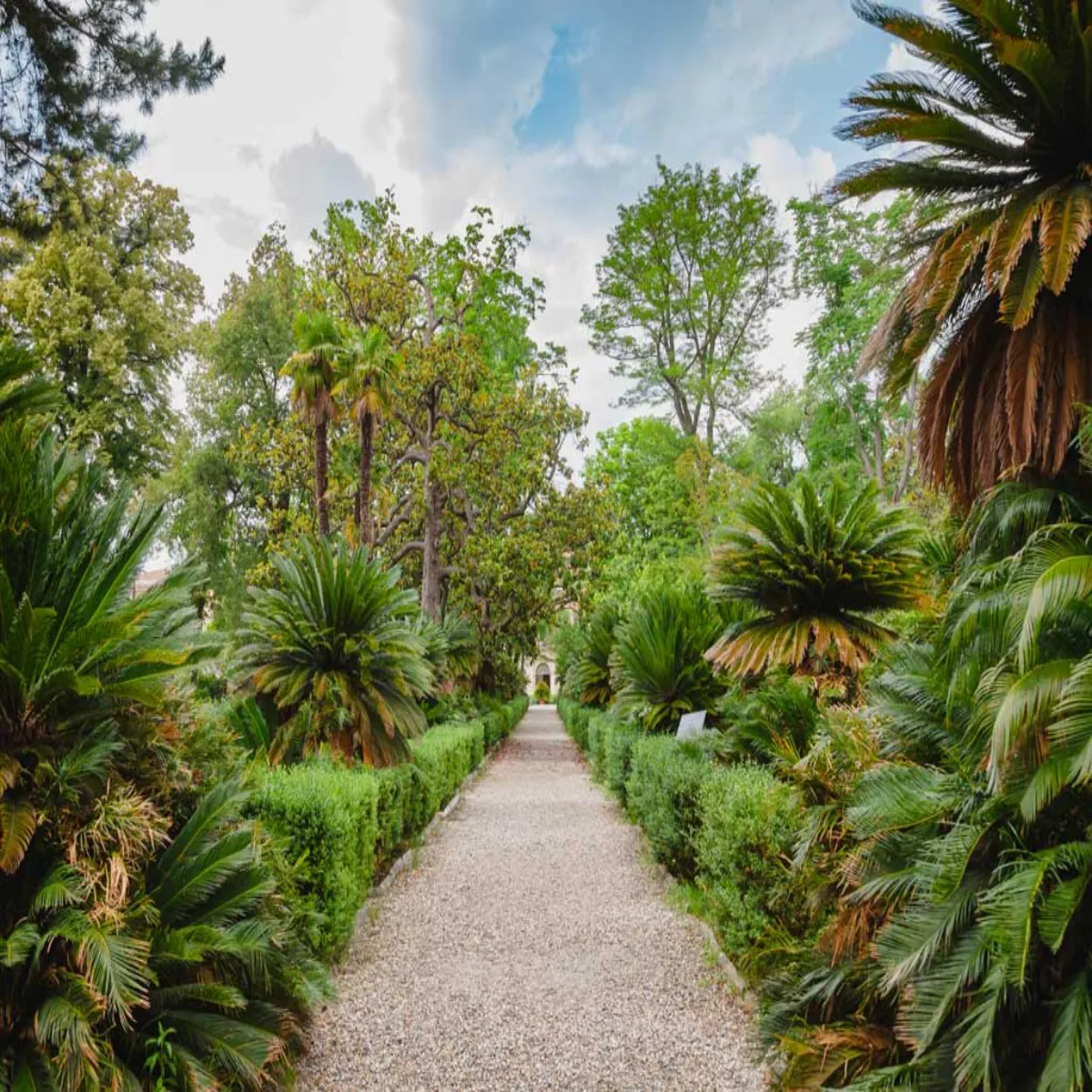 Botanicalgarden Botanicalgarden Ptna Men Bnega Desh
