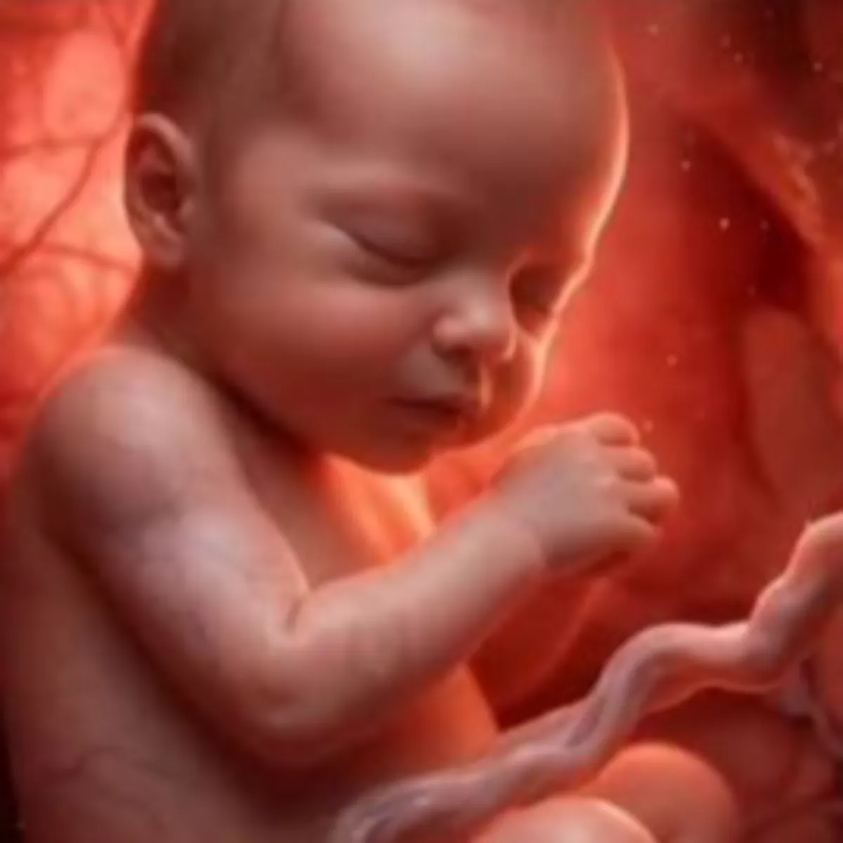 Pregnancy Pregnancy Grbhavstha Men Sujn Samany