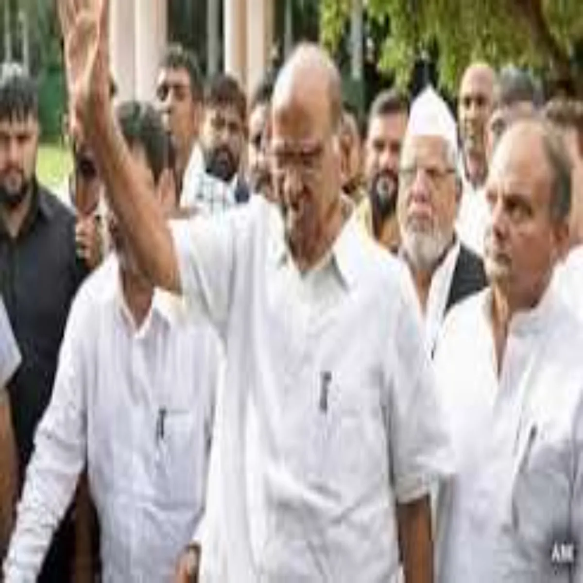 Sharadpawar Sharadpawar Vipkshi Kheme Men Bdhi