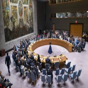 unsc india china membership bid
