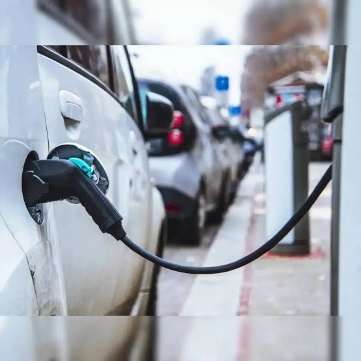 Transportpolicy Transportpolicy Yupi Men Eevi Khrid