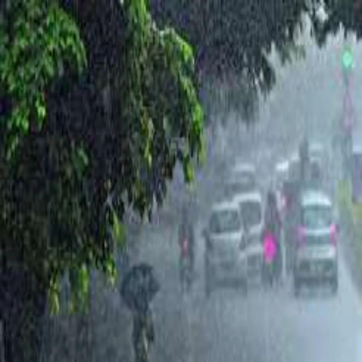 Weather Weather Yupi Kee Shhron Men