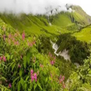 weatheralert uttarakhand rain alert