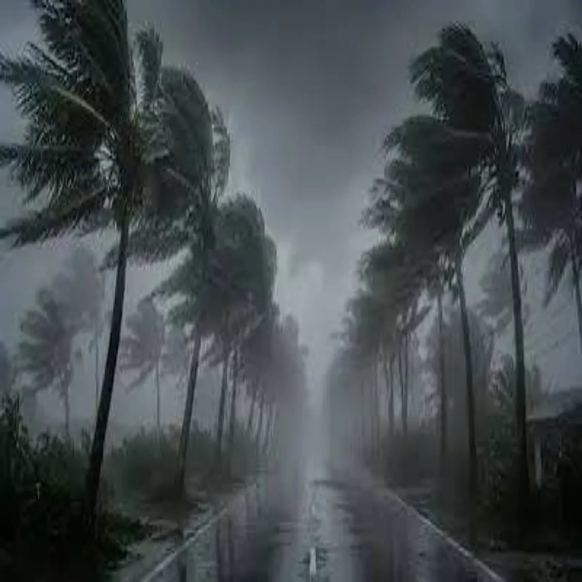 Biharweather Biharweather Chhh Jilon Men Bhari