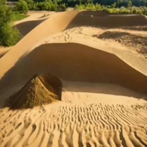 bihar sand auction update