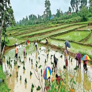 lightning strike jharkhand women death