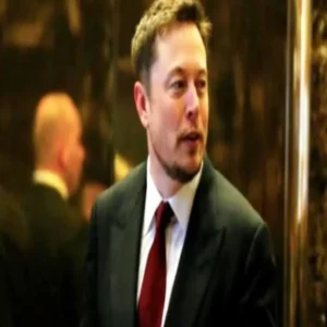spacex stock musk loss